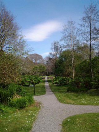Garden paths at Derrynane House