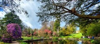 Panoramic view Kilmacurragh