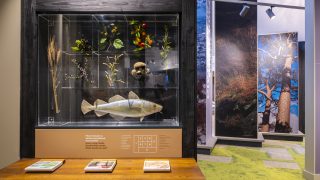 Céide Fields Visitor Centre exhibition