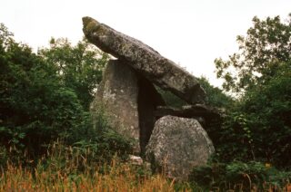3 stones prop up a larger, horizontally slanted cap stone. Trees grow around the portal tomb.